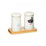 Kitchen Craft Солонка и перечница на подставке Арт.: AFSNP