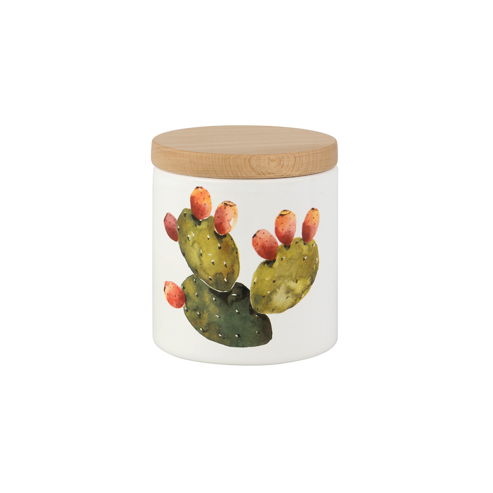 nuova cer емкость с крышкой cactus 8см